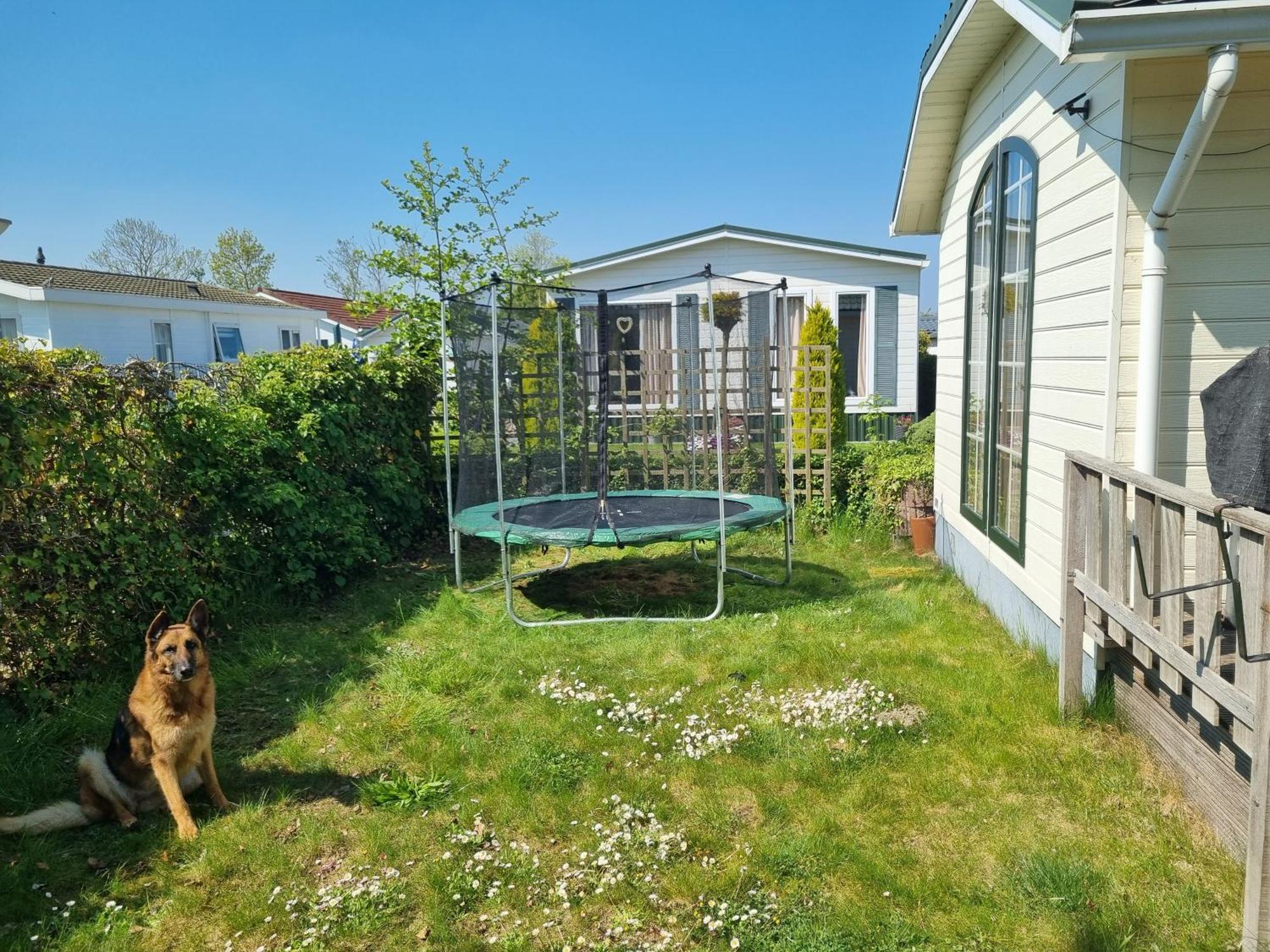 Vakantiehuis In Zeeland Sint-Annaland Quarto foto